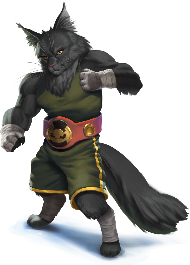 Black warrior cat with boxing wraps